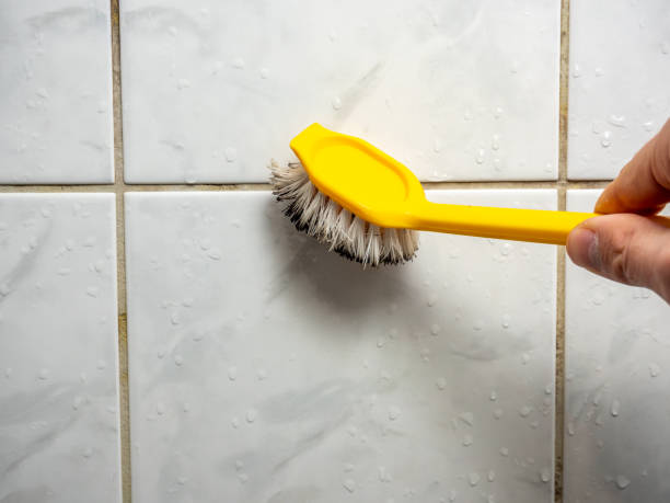 Best Residential Mold Removal  in Rusk, TX