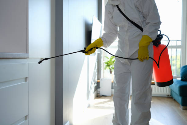 Best Professional Mold Removal  in Rusk, TX