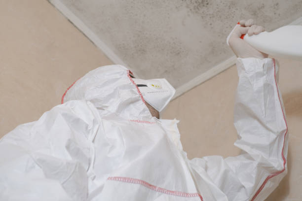 Best Attic Mold Removal  in Rusk, TX