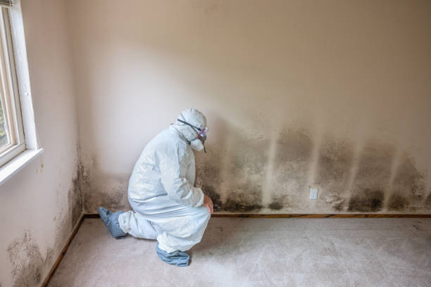 Best Mold Testing  in Rusk, TX
